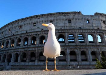 El malestar unánime, por William Ospina