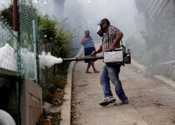 La otra epidemia: alerta por 1,6 millones de casos de dengue en la región