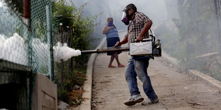 La otra epidemia: alerta por 1,6 millones de casos de dengue en la región