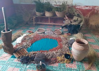 Histórica alianza de pueblos originarios