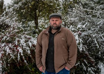 Greenpeace: en la cuarentena se desforestó el equivalente a la Ciudad de Buenos Aires