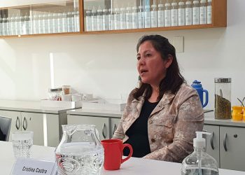 “Me dejó conforme”, dijo la madre de Facundo sobre su reunión con Alberto Fernández