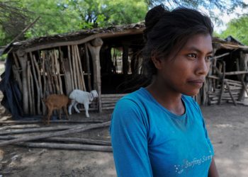 El coronavirus profundizó las desigualdades que sufren las indígenas