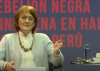 Argumedo: “En el acoso de la derecha se ve una mano de la Embajada”