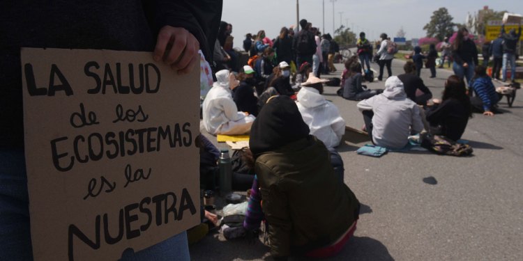 Humedales, entre la función eco-social y la renta