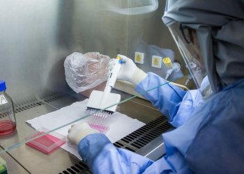 Pfizer, Moderna y Sputnik V: Diferencias y mitos de las tres vacunas candidatas