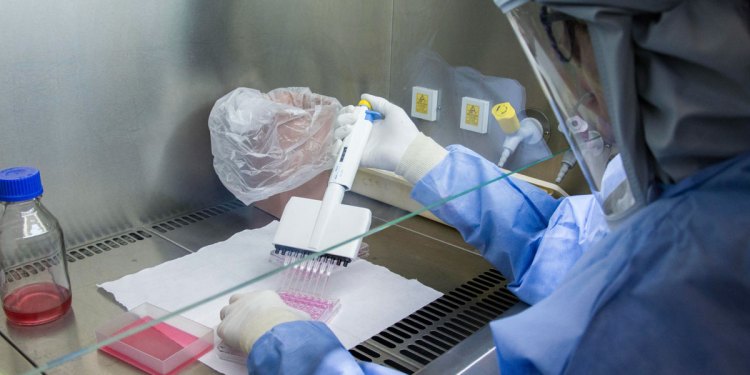 Pfizer, Moderna y Sputnik V: Diferencias y mitos de las tres vacunas candidatas