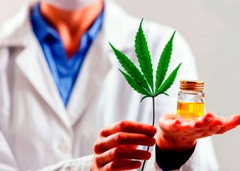 Cannabis medicinal: legalizan el autocultivo y el Estado garantizará el acceso
