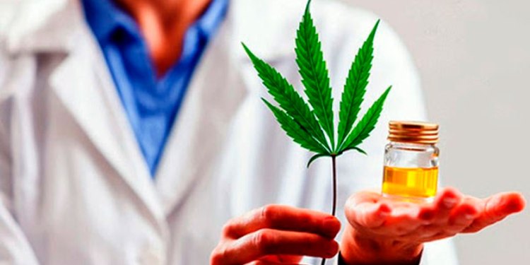 Cannabis medicinal: legalizan el autocultivo y el Estado garantizará el acceso