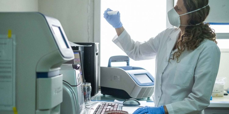 Desigualdad sanitaria: la OMS denuncia que 10 países concentran el 95% de las vacunas