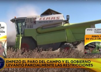 El crimen organizado