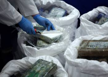 Cocaína: lucro y castigo