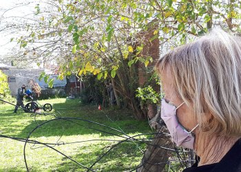 No vamos a bajar los brazos: rastrillaje 39 para encontrar el cuerpo de Miguel Bru