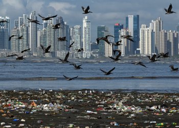 Día de la Tierra: por un nuevo acuerdo global
