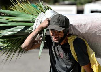 Neoliberalismo latinoamericano: más papistas que el Papa