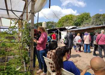 Frente a la especulación, vuelven las ferias agroecológicas con precios populares