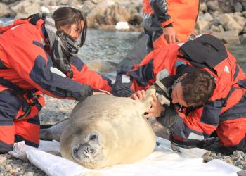 El desafío de una Argentina marítima y bicontinental