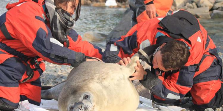 El desafío de una Argentina marítima y bicontinental