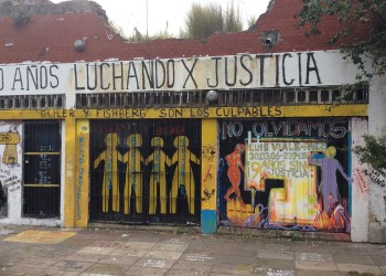 “Lo que paso en Luis Viale eran muertes evitables”