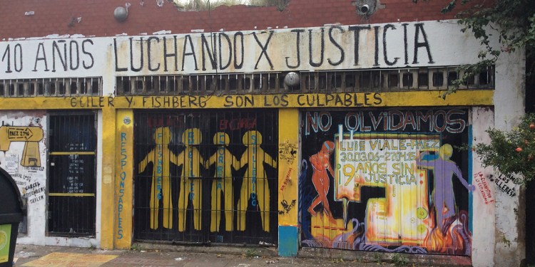 “Lo que paso en Luis Viale eran muertes evitables”