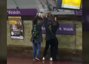 El huevo de la codorniz