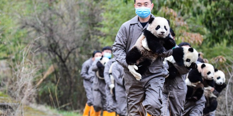 La cláusula china para preservar su tesoro nacional
