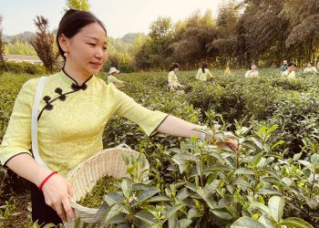Hubei y América Latina, tan lejos y tan cerca al mismo tiempo