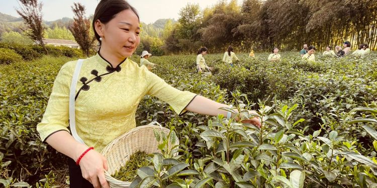 Hubei y América Latina, tan lejos y tan cerca al mismo tiempo