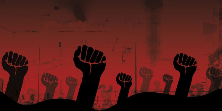 Socialistas por cuenta propia