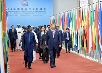 Panorama global: de la Cooperación China-África a los conflictos en Francia y América Latina