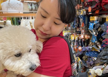 Perro que ladra, economía que crece