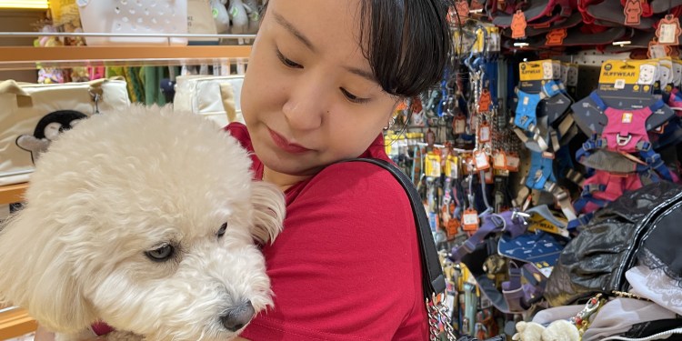 Perro que ladra, economía que crece