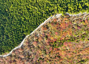 La Gran Muralla Verde crece a tasas chinas