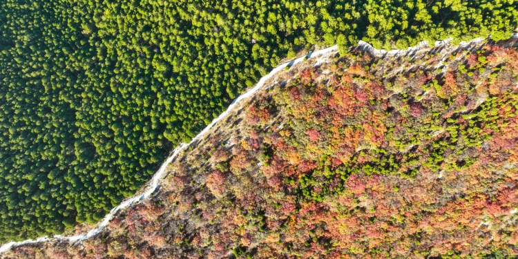 La Gran Muralla Verde crece a tasas chinas