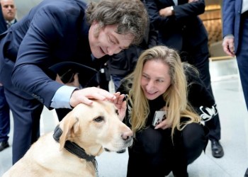 Milei en baja y el peronismo en rodajas