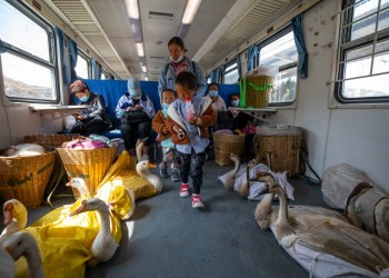 Trenes lentos de China, la paradoja del sistema