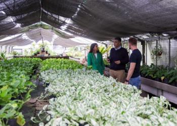 Un negocio de $153.000.000: Macri entregó un vivero público a un viejo “amigo” de la Ciudad