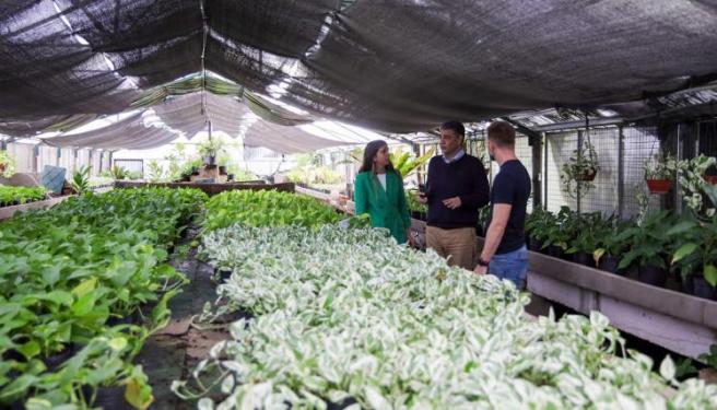 Un negocio de $153.000.000: Macri entregó un vivero público a un viejo “amigo” de la Ciudad