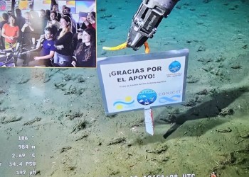 Los fondos a los que nos lleva el mar