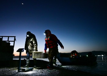 La pesca china y el otro juego del calamar