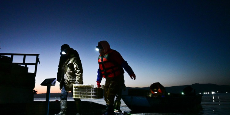 La pesca china y el otro juego del calamar