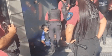 El pibito B, paltas y cerezas