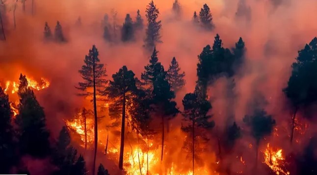 Fuego