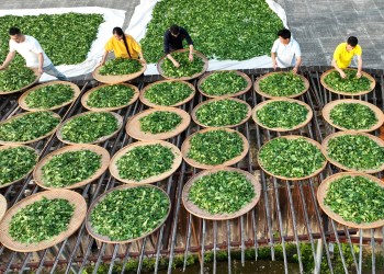 China no se toma el té con calma