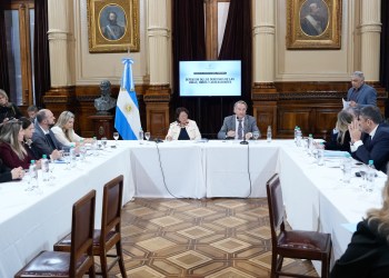Nueva “patoteada” mileista contra los derechos de las infancias