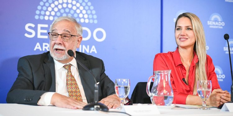 Las “falsas denuncias” y las reales: acusan a Carolina Losada de intimidar a víctimas y profesionales