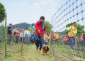Cosecharás tu otra siembra: la China rural también cobra entradas