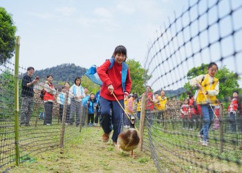 Cosecharás tu otra siembra: la China rural también cobra entradas