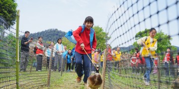 Cosecharás tu otra siembra: la China rural también cobra entradas