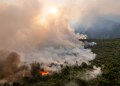 La soberanía ambiental